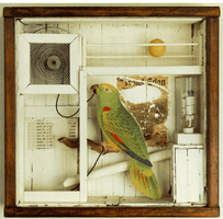 Joseph Cornell, Hotel Eden 