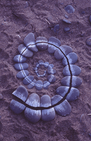 Andy Goldsworthy, Carefully Broken Pebbles Scratched White, 1985