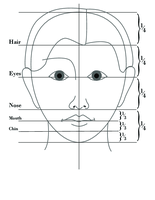 Alison West, Proportions of the Head Alison West, Proportions of the Head
