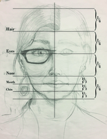 Alison West, Proportions of the head-drawing Alison West, Proportions of the head-drawing