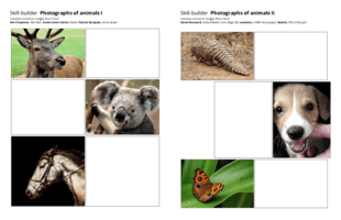 Animals Animals
