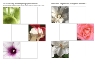 Meg Bennett's flowers Meg Bennett's flowers