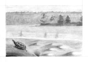 Will Black, Depth drawing, Spring 2014