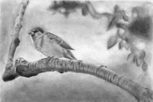 Sophie Fitzgerald, depth drawing, Fall 2017 Sophie Fitzgerald, depth drawing, Fall 2017