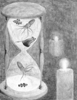Elena Schneider, depth drawing, Spring 2017 Elena Schneider, depth drawing, Spring 2017