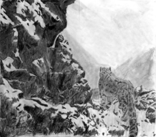 Evan Walsh, depth drawing, Spring 2017 Evan Walsh, depth drawing, Spring 2017