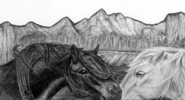 Gracie Walker, depth drawing, Spring 2017 Gracie Walker, depth drawing, Spring 2017