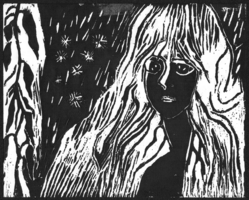 Manijeh Jalali, Printmaking project, Fall 2013
