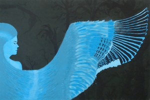 Amber Fardy, Final project, Spring 2015