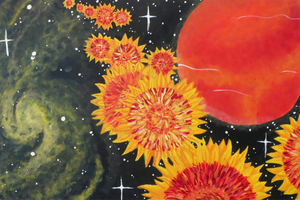 Elizabeth Simmons, Final project, Spring 2015