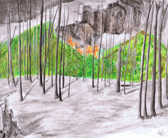 Liam Scanlon, Final project, Spring 2014