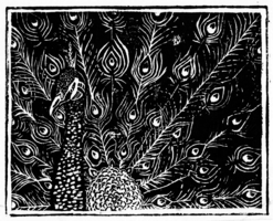 Gayathri Ponneri, Printmaking, Spring 2014