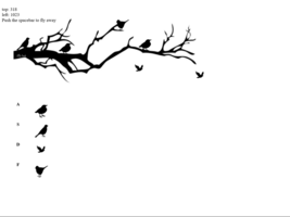 Caterina Slamovits, Mice and images project, Fall 2015