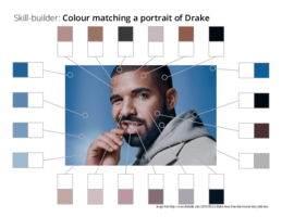 Skill-builder: Colour matching Drake Skill-builder: Colour matching Drake